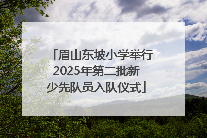 眉山东坡小学举行2025年第二批新少先队员入队仪式
