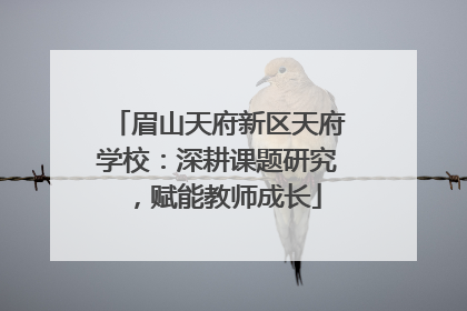 眉山天府新区天府学校：深耕课题研究，赋能教师成长