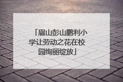 眉山彭山鹏利小学让劳动之花在校园绚丽绽放