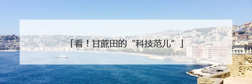 看！甘蔗田的“科技范儿”