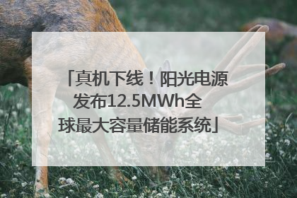 真机下线！阳光电源发布12.5MWh全球最大容量储能系统