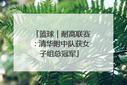 篮球｜耐高联赛：清华附中队获女子组总冠军