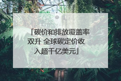 碳价和排放覆盖率双升 全球碳定价收入超千亿美元