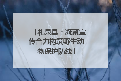 礼泉县：凝聚宣传合力构筑野生动物保护防线