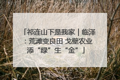 祁连山下是我家｜临泽：荒滩变良田 戈壁农业添“绿”生“金”