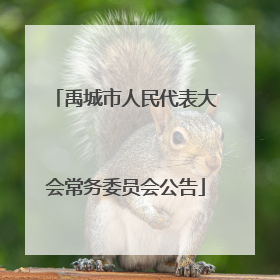 禹城市人民代表大会常务委员会公告