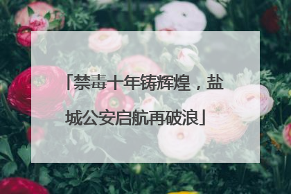 禁毒十年铸辉煌，盐城公安启航再破浪
