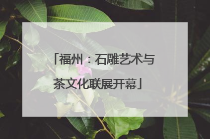 福州：石雕艺术与茶文化联展开幕