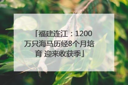 福建连江：1200万只海马历经8个月培育 迎来收获季