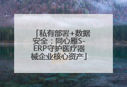 私有部署+数据安全：同心雁S-ERP守护医疗器械企业核心资产