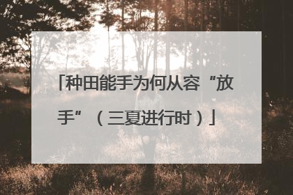 种田能手为何从容“放手”（三夏进行时）