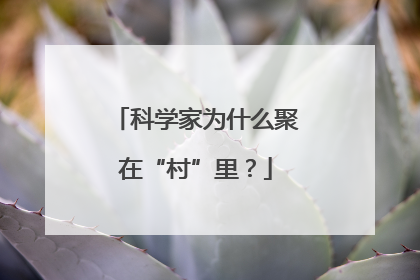科学家为什么聚在“村”里？