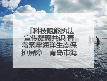 科技赋能执法 宣传凝聚共识 青岛筑牢海洋生态保护屏障—青岛市海洋发展局开展“世界海洋日”和“全国海洋宣传日”宣传活动