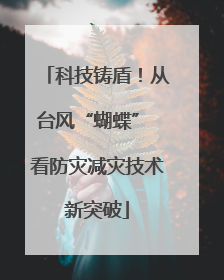 科技铸盾！从台风“蝴蝶” 看防灾减灾技术新突破