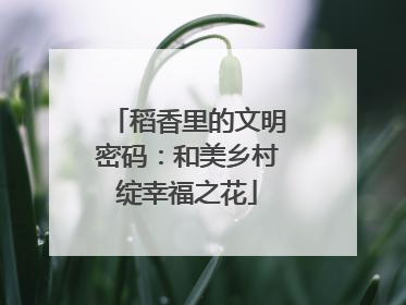 稻香里的文明密码：和美乡村绽幸福之花