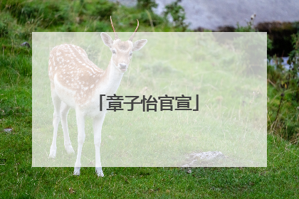 章子怡官宣