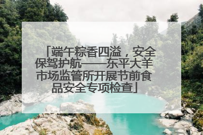 端午粽香四溢，安全保驾护航——东平大羊市场监管所开展节前食品安全专项检查