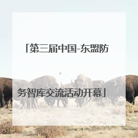 第三届中国-东盟防务智库交流活动开幕