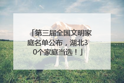 第三届全国文明家庭名单公布，湖北30个家庭当选！