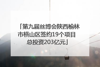 第九届丝博会陕西榆林市横山区签约19个项目 总投资203亿元