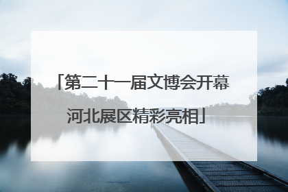第二十一届文博会开幕 河北展区精彩亮相
