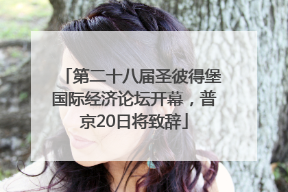 第二十八届圣彼得堡国际经济论坛开幕，普京20日将致辞