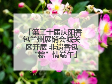 第二十届庆阳香包兰州展销会城关区开展 非遗香包“粽”情端午