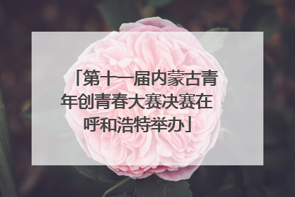 第十一届内蒙古青年创青春大赛决赛在呼和浩特举办