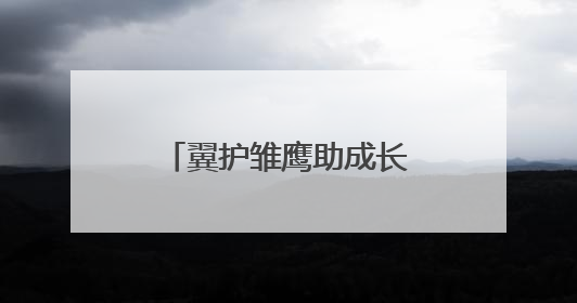 翼护雏鹰助成长 武汉市司法局何湾强戒所开展禁毒宣传进校园活动