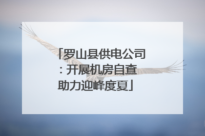 罗山县供电公司：开展机房自查 助力迎峰度夏