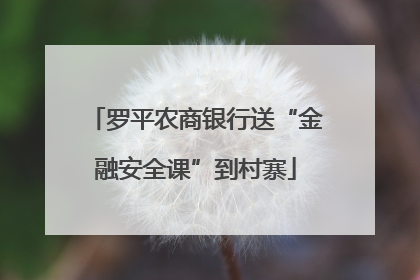 罗平农商银行送“金融安全课”到村寨