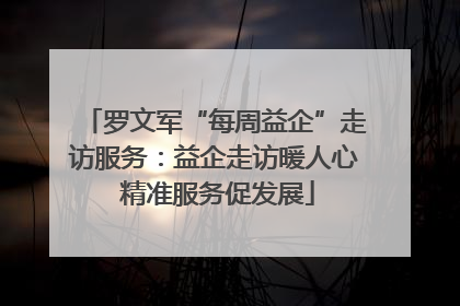 罗文军“每周益企”走访服务：益企走访暖人心 精准服务促发展