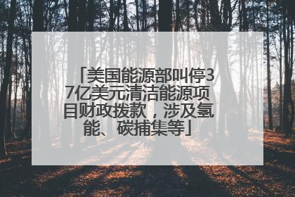 美国能源部叫停37亿美元清洁能源项目财政拨款，涉及氢能、碳捕集等