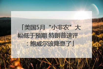 美国5月“小非农”大幅低于预期 特朗普速评：鲍威尔该降息了