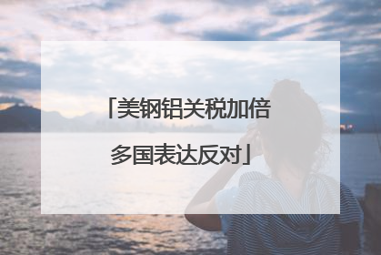 美钢铝关税加倍 多国表达反对