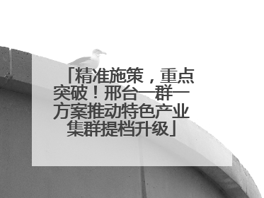 精准施策，重点突破！邢台一群一方案推动特色产业集群提档升级