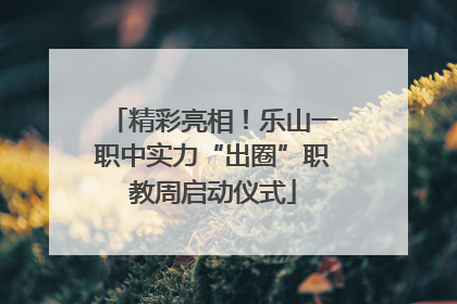 精彩亮相！乐山一职中实力“出圈”职教周启动仪式