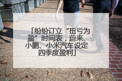 纷纷订立“扭亏为盈”时间表，蔚来、小鹏、小米汽车设定四季度盈利