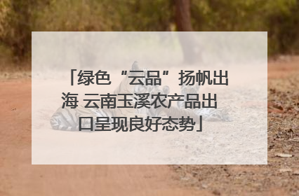 绿色“云品”扬帆出海 云南玉溪农产品出口呈现良好态势