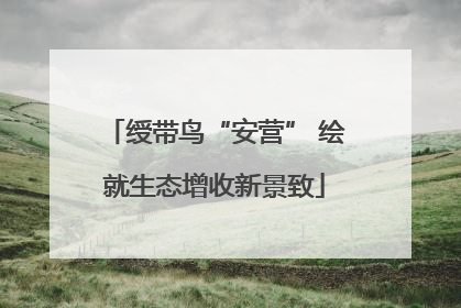 绶带鸟“安营” 绘就生态增收新景致