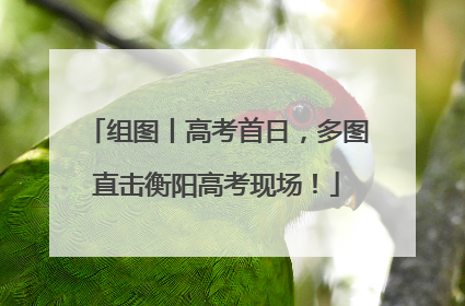 组图丨高考首日，多图直击衡阳高考现场！