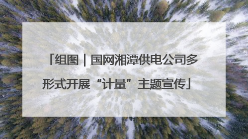 组图｜国网湘潭供电公司多形式开展“计量”主题宣传