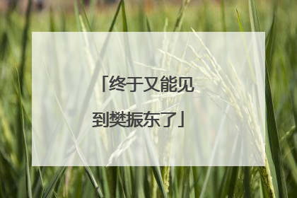 终于又能见到樊振东了