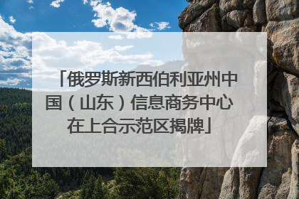 俄罗斯新西伯利亚州中国（山东）信息商务中心在上合示范区揭牌
