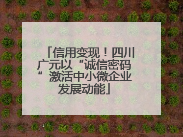 信用变现！四川广元以“诚信密码”激活中小微企业发展动能