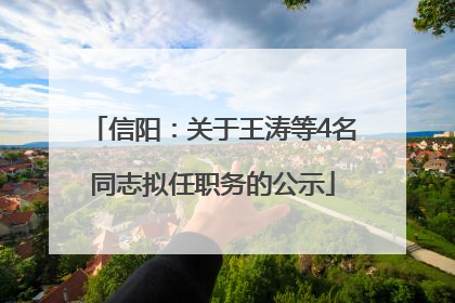 信阳：关于王涛等4名同志拟任职务的公示