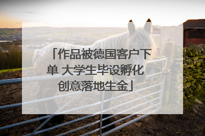 作品被德国客户下单 大学生毕设孵化创意落地生金