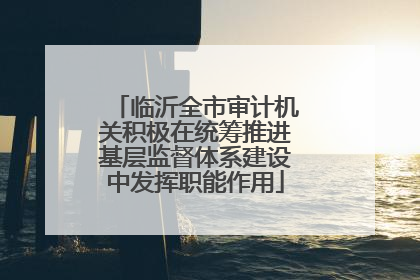 临沂全市审计机关积极在统筹推进基层监督体系建设中发挥职能作用