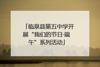 临泉县第五中学开展“我们的节日·端午”系列活动