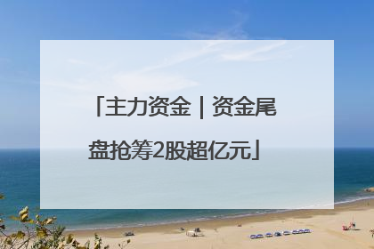 主力资金｜资金尾盘抢筹2股超亿元